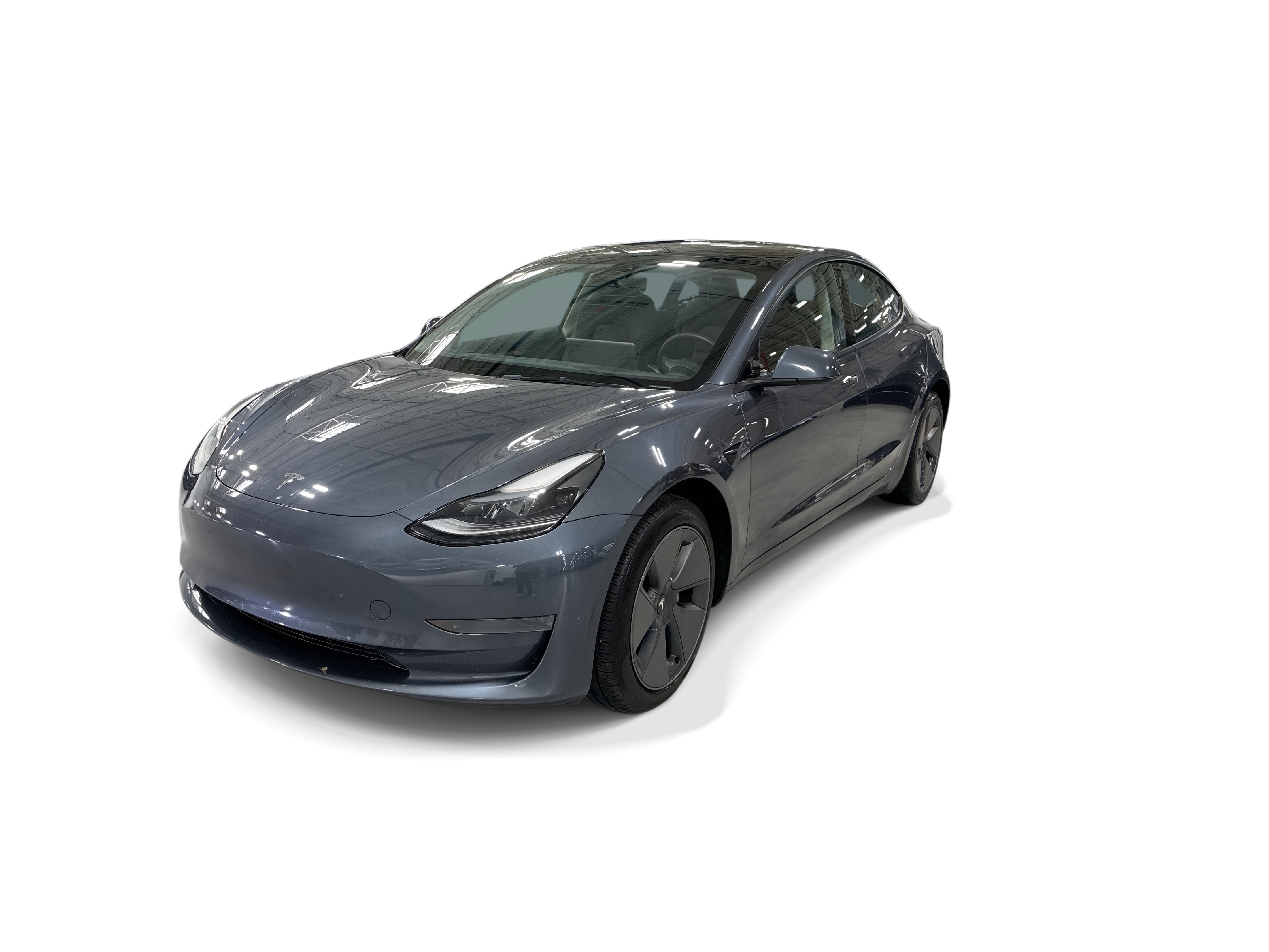 tesla model 3 2023 5YJ3E1EA6PF559456 image tesla model 3 2023 5YJ3E1EA6PF559456 image